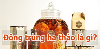 đông trung hạ thảo